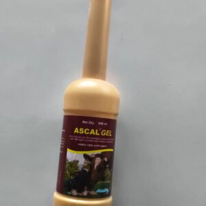 ASCAL GEL  500 ML