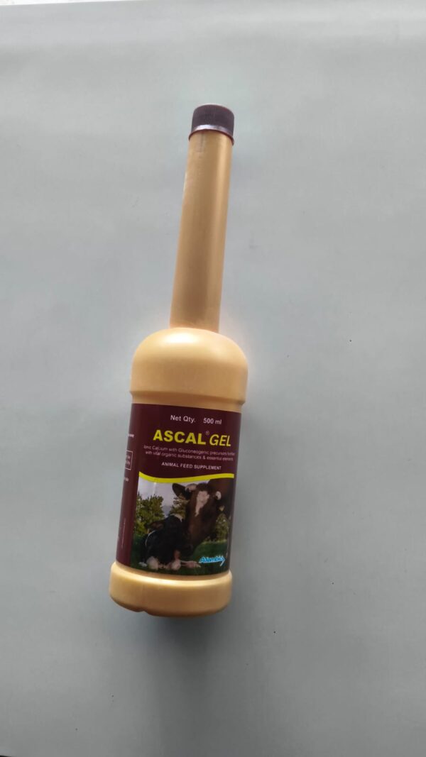 ASCAL GEL  500 ML