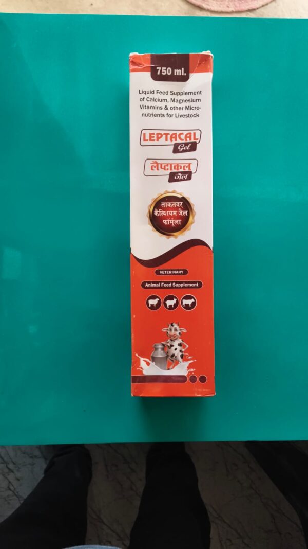 LEPTACAL GEL 750ml
