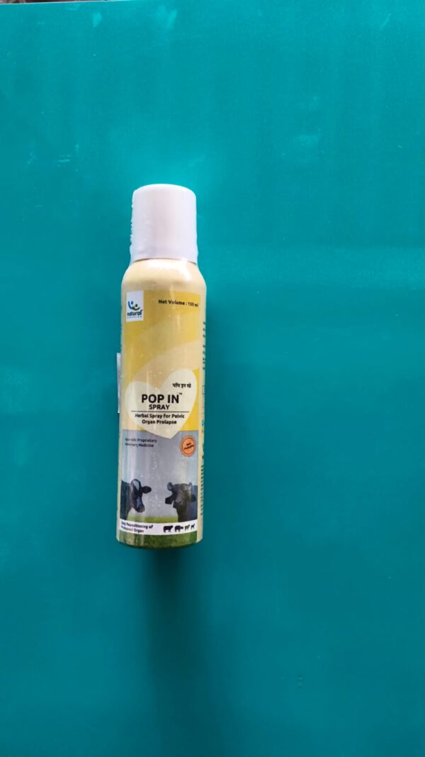 POP IN SPRAY 150ml