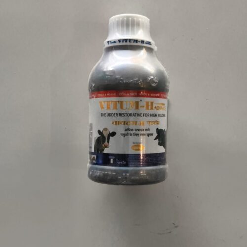 VITUM-H FORTE 250ml