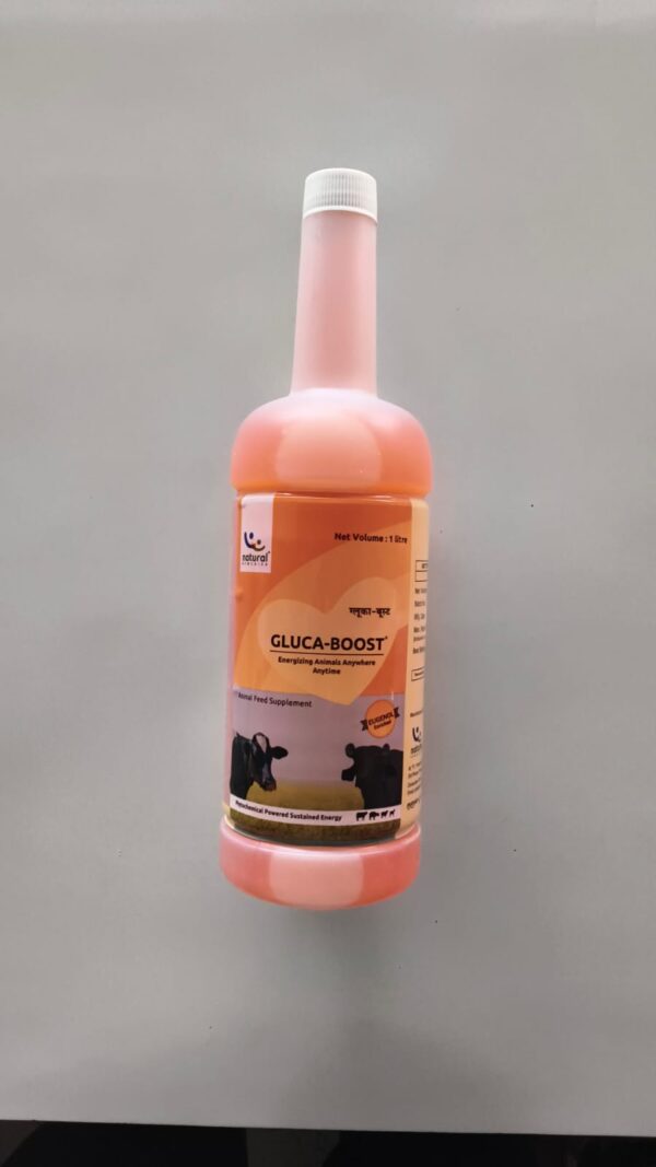 GLUCA - BOOST 1L