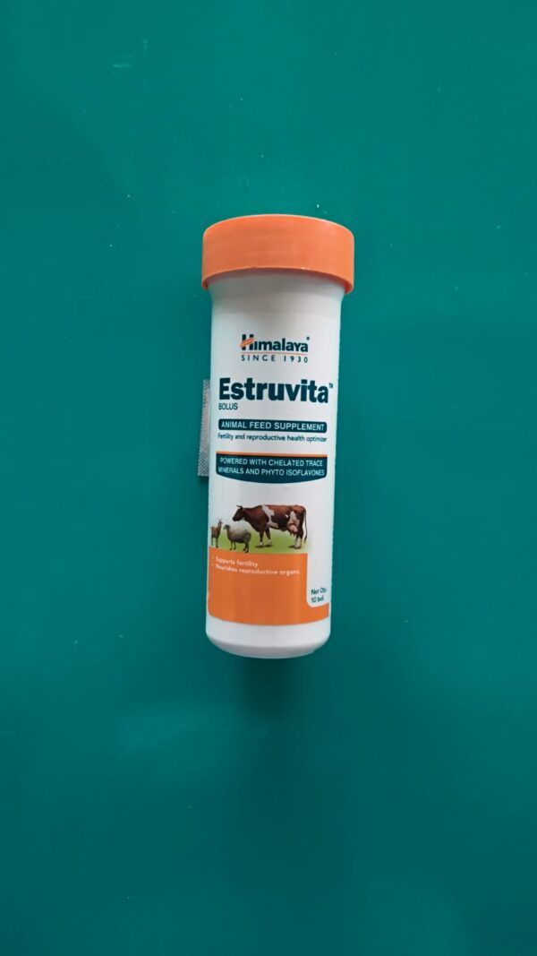 ESTRUVITA BOLUS  10BOLI