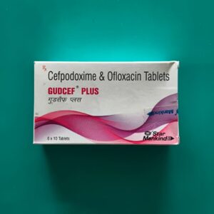 GUDCEF PLUS