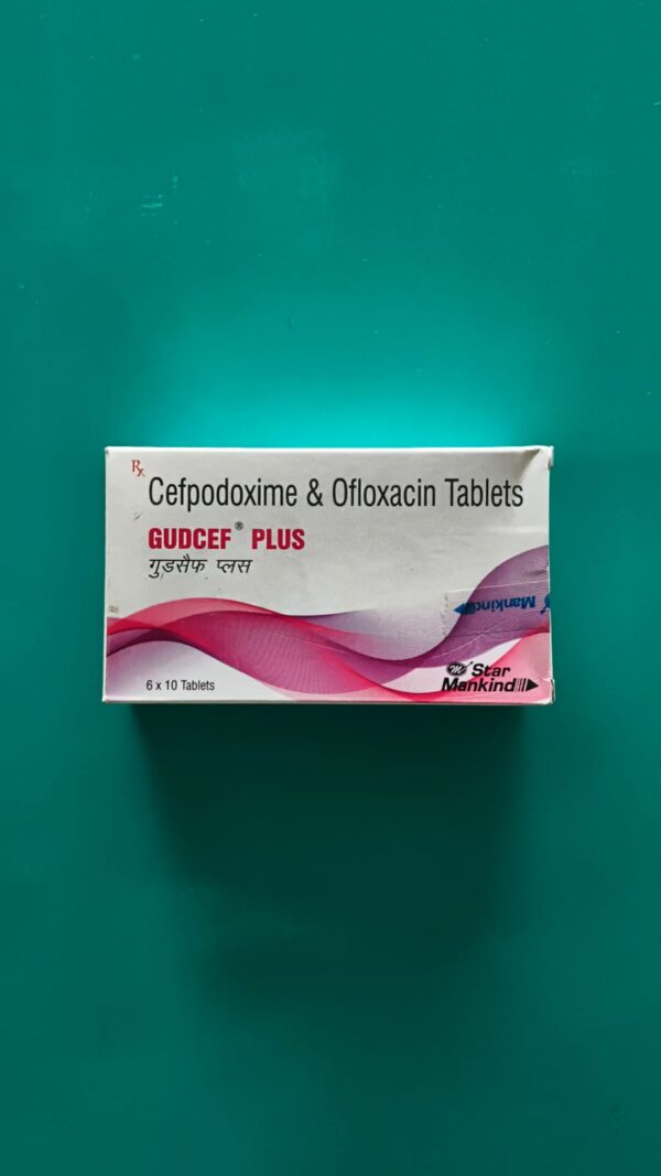 GUDCEF PLUS