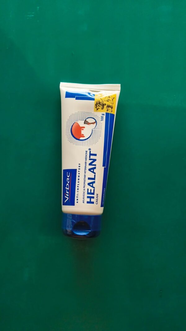 HEALANT CREAM 100g