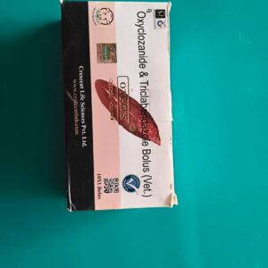 OT PLUS