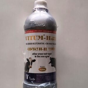 VITUM-H ADVANCE