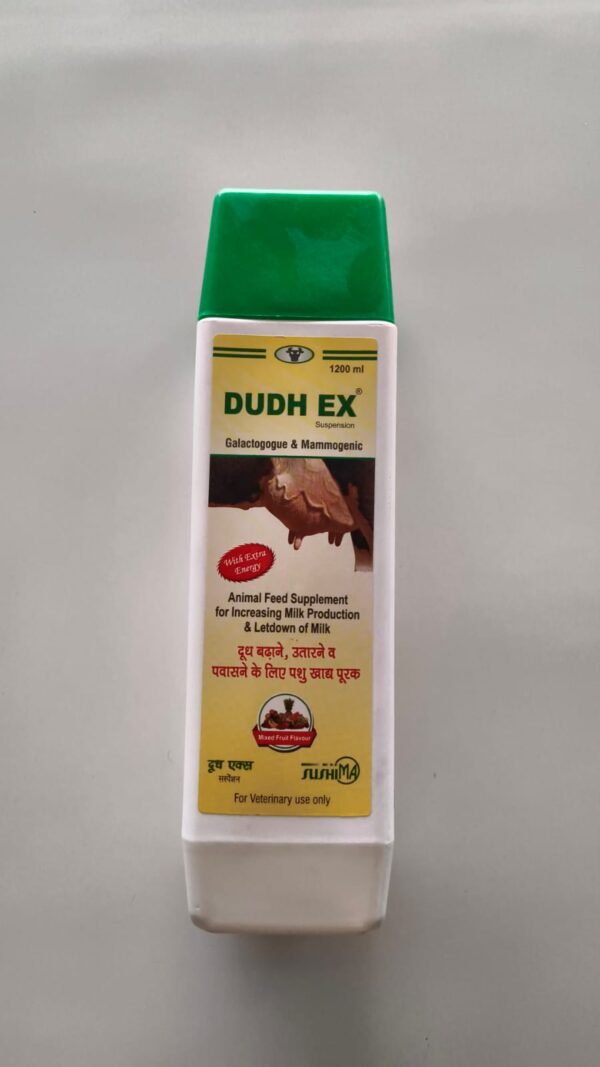 DUDH EX 1200 ML