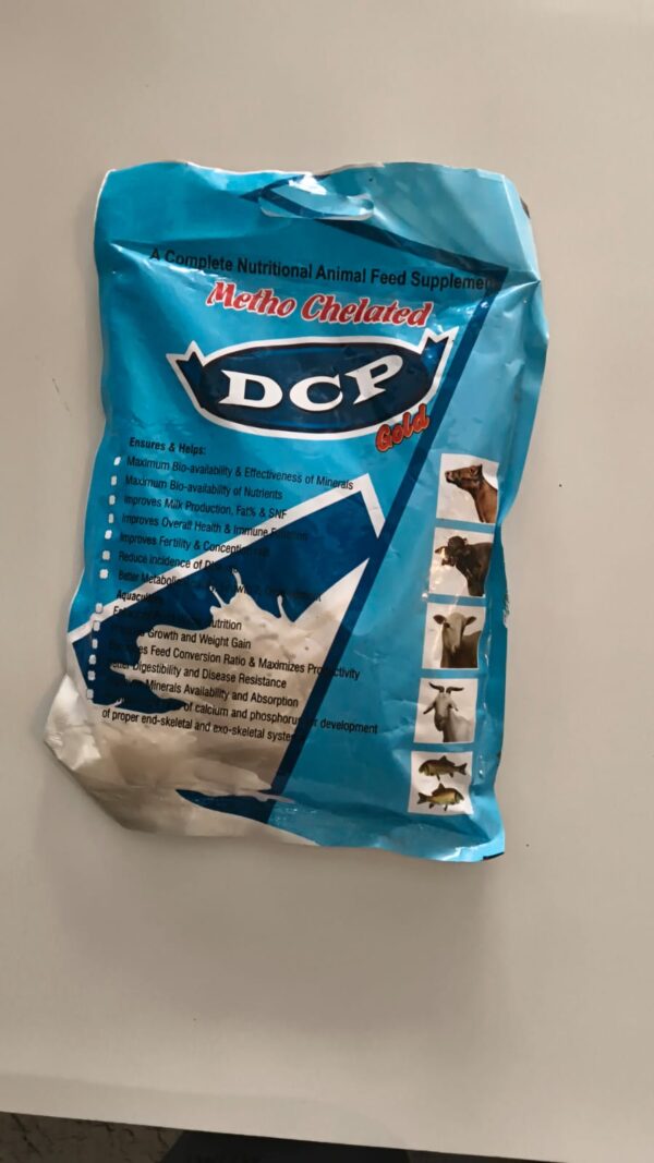 DCP GOLD POWDER  1kg