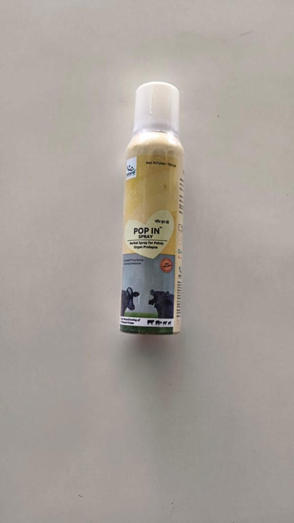WhatsApp Image 2026-06-23 at 2.08.46 PM POP IN SPRAY 150ml