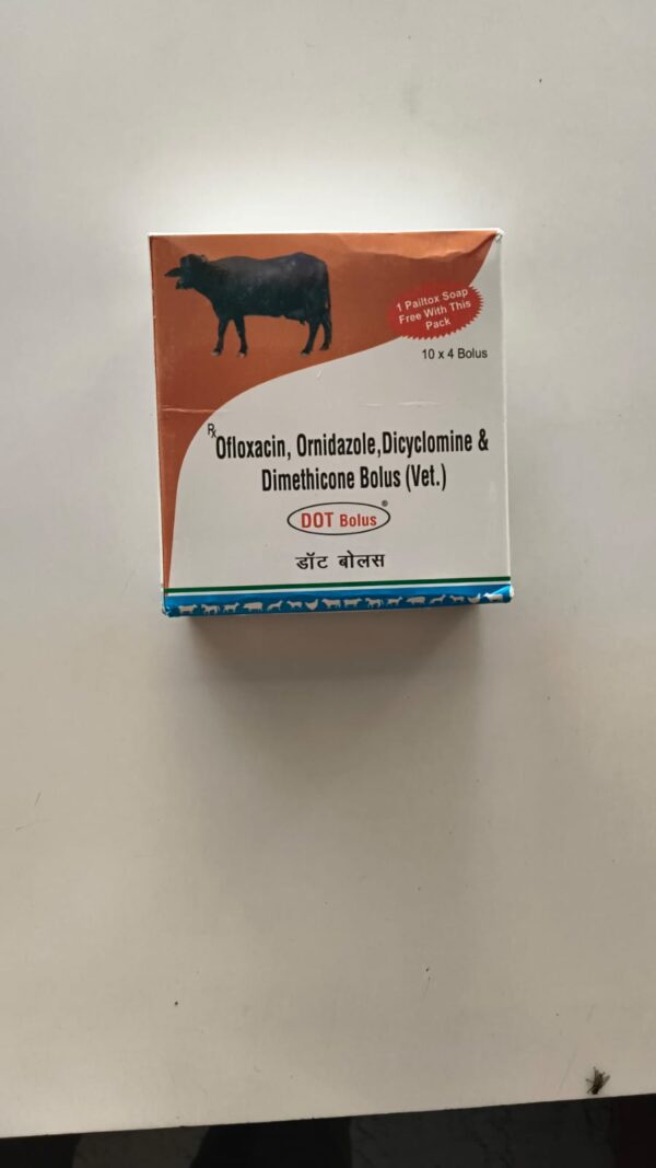 DOT BOLUS 4 BOLUS