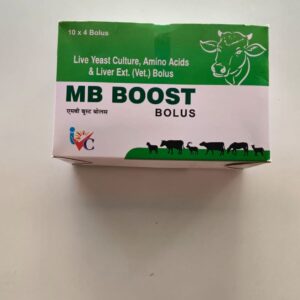 MB BOOST BOLUS 4 TABLETS