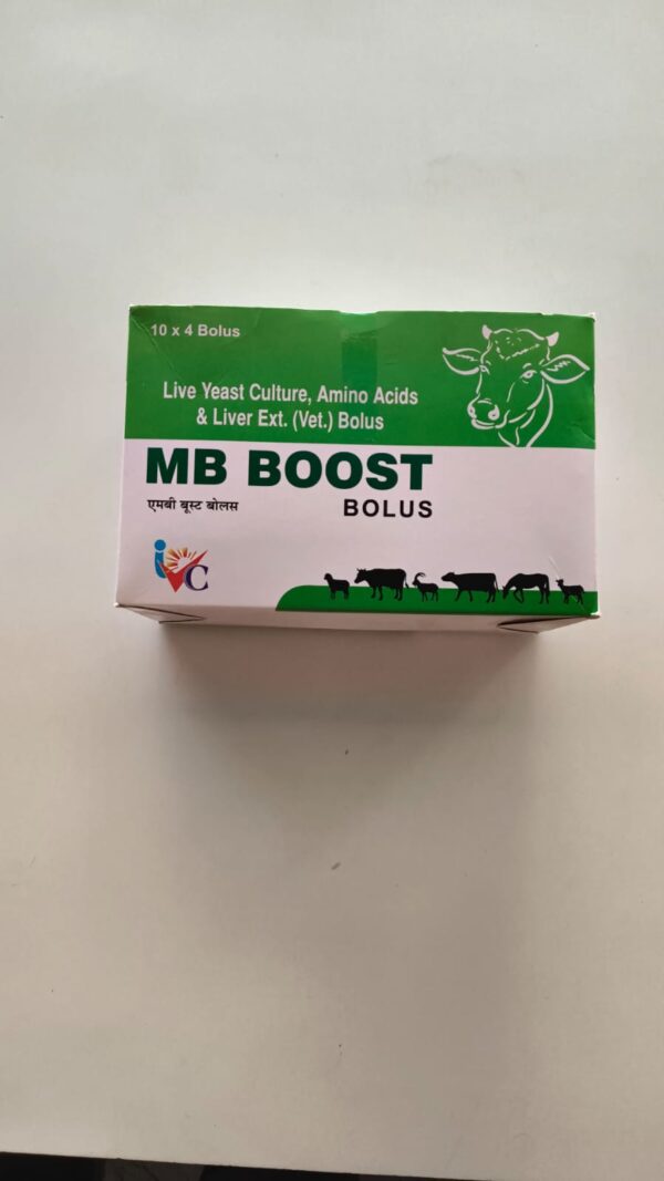 MB BOOST BOLUS 4 TABLETS