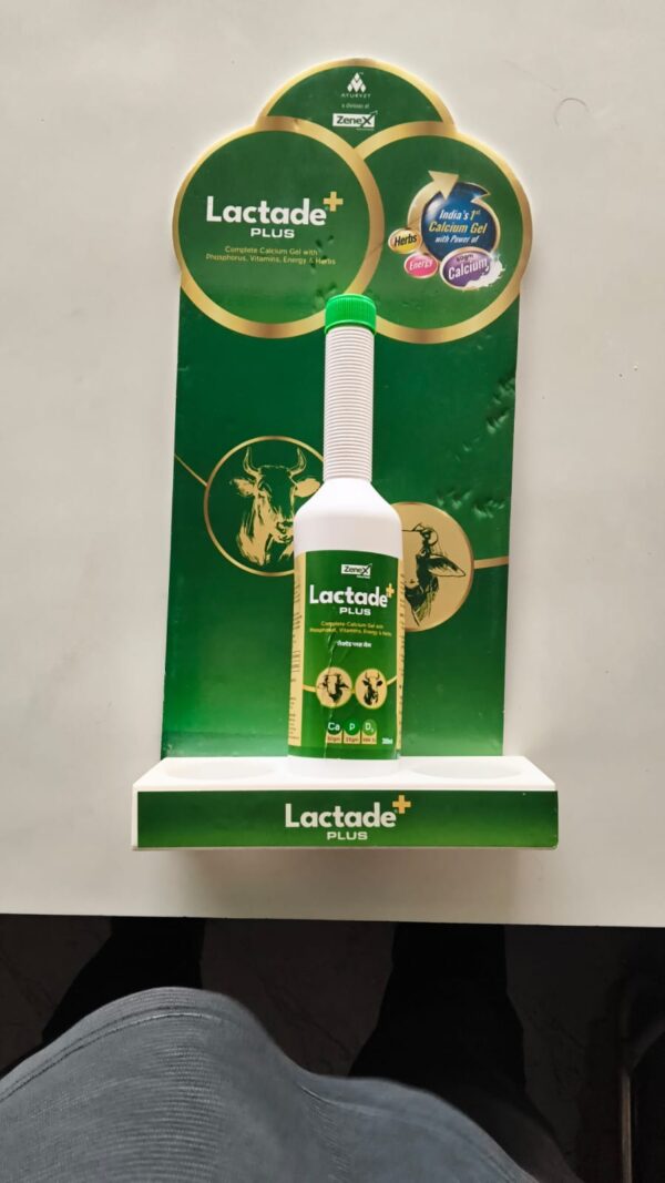 LACTADE + PLUS GEL 300 ML