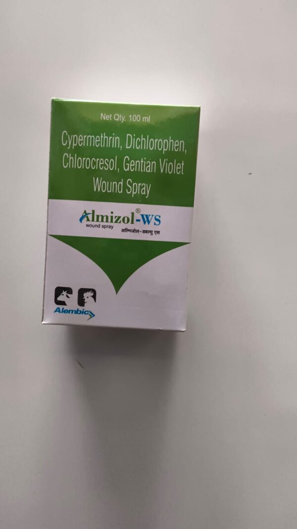 ALMIZOL WS 100 ML