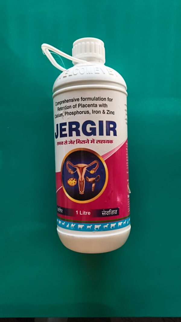 JERGIR  1 LITAR