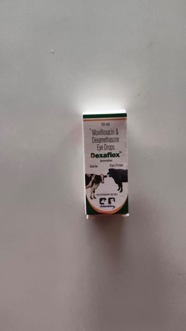 WhatsApp Image 2026-07-19 at 1.17.07 PM DEXAFLOX EYE DROPS