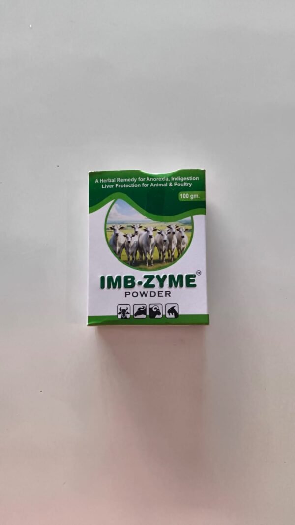 IMB ZYME POWDER 100 GM